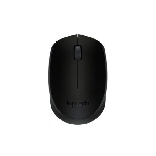 MOUSE B170